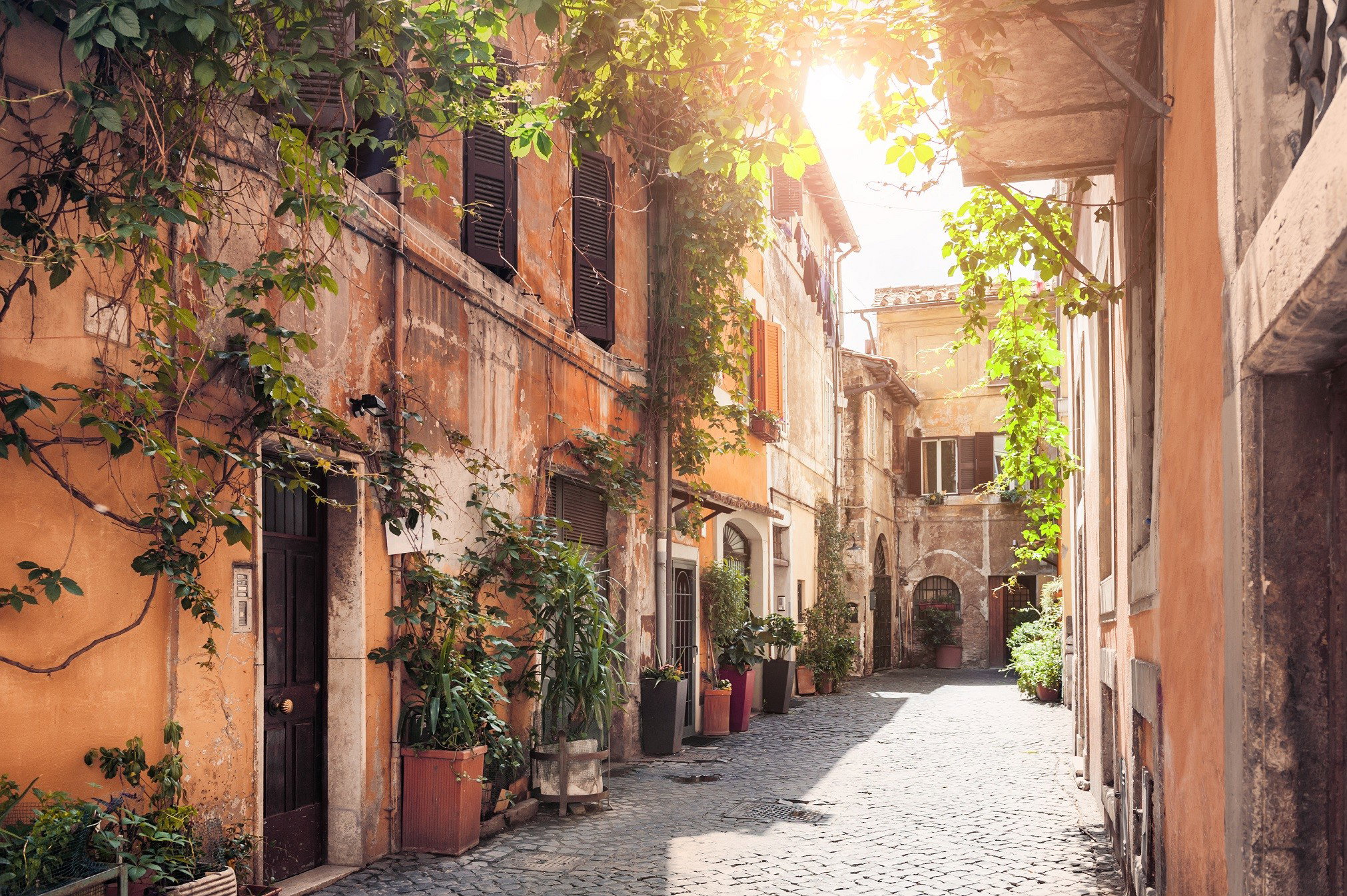 AdobeStock_114401977