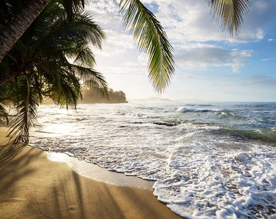 costa2