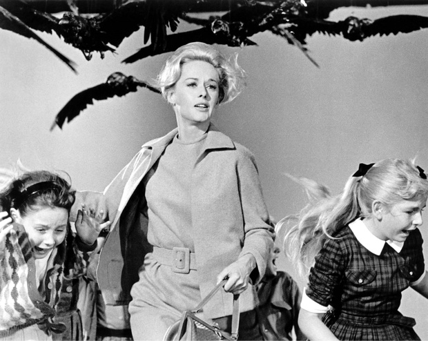 The Birds