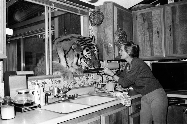 Tippi Hedren and Noel Marshall