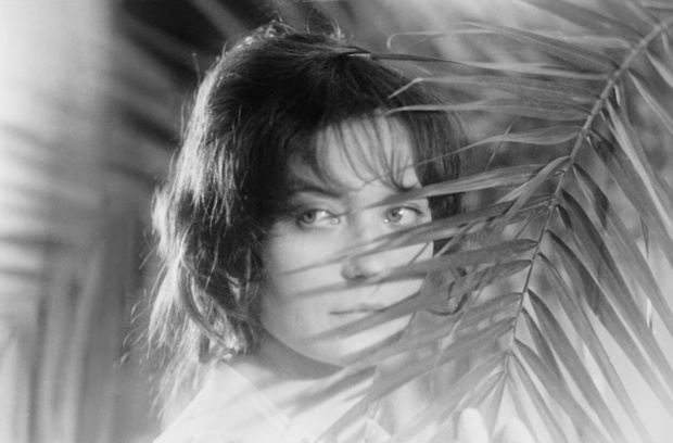 Everett Collection Classic Cinema 2019