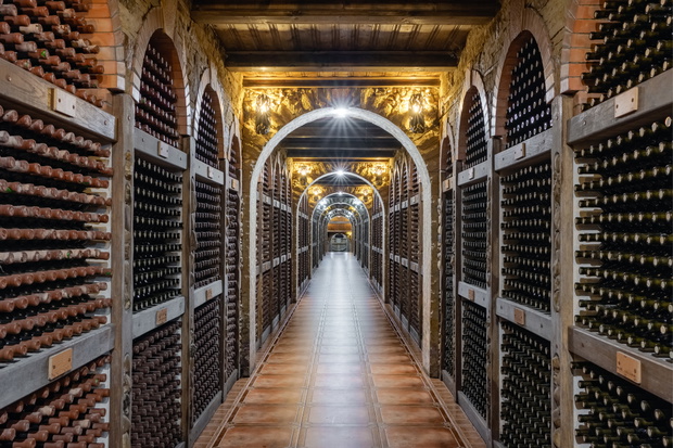 Wine bottles stacked up in underground wine cellar
