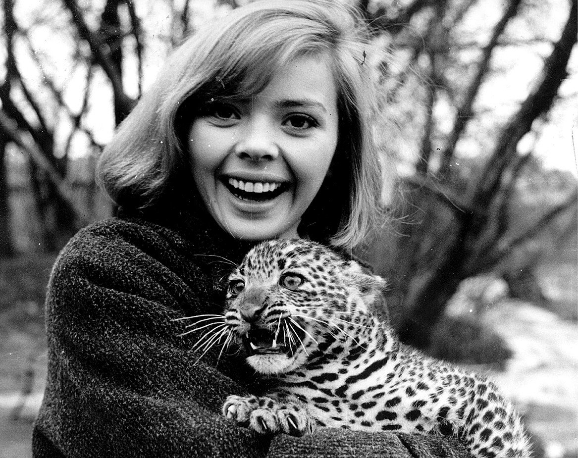 pap_19620000_04C