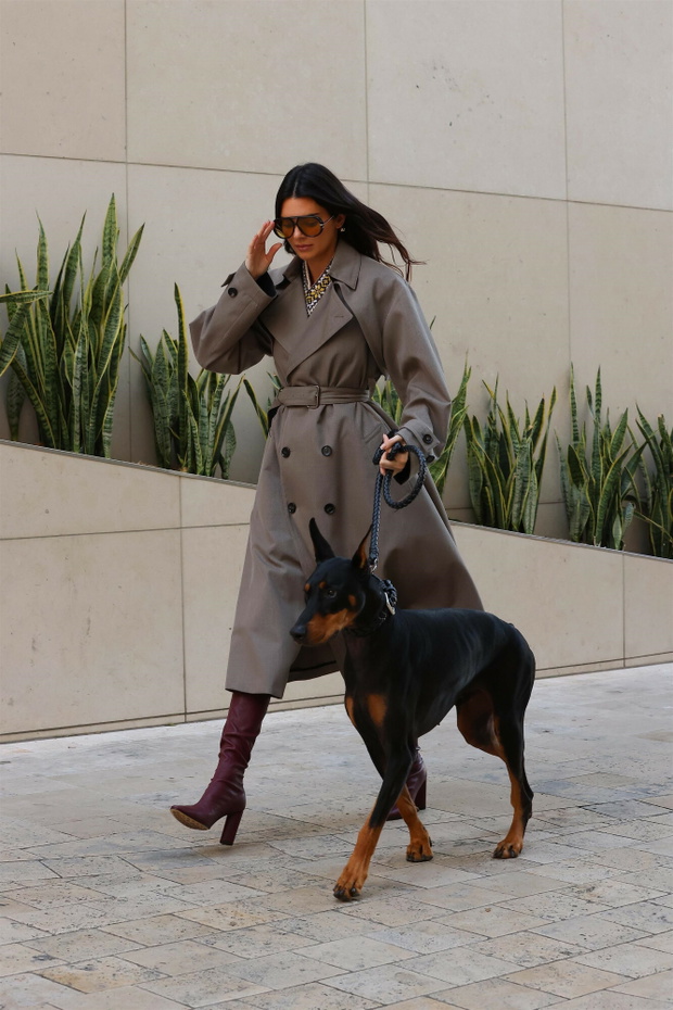 Kendall Jenner ze swoim dobermanem