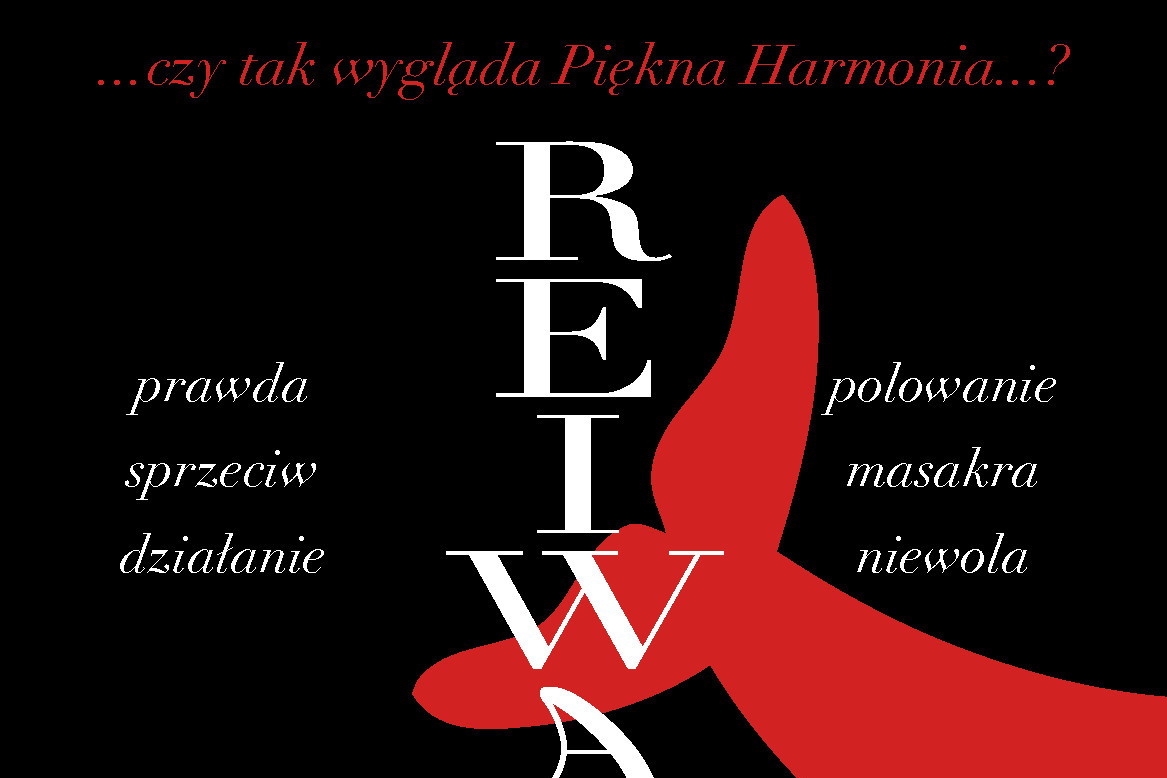 Reiwa: film dokumentalny. Plakat, logo
