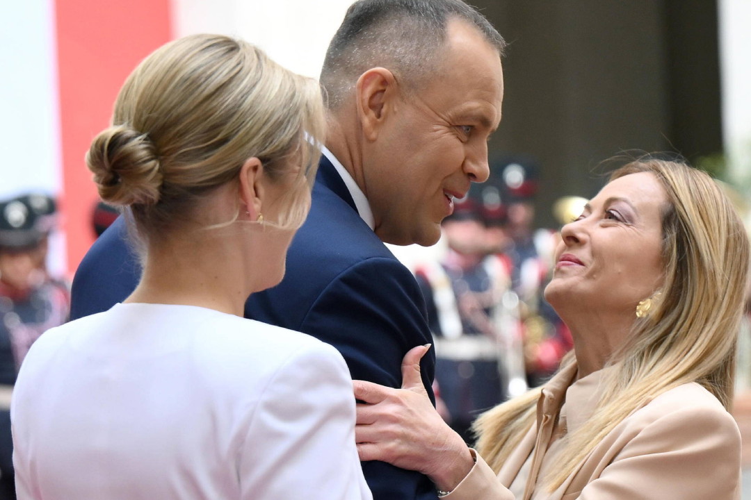 jamniki nowe (56)