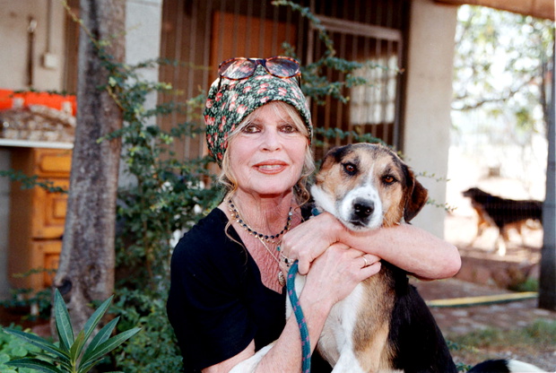 Brigitte Bardot, 2001 rok