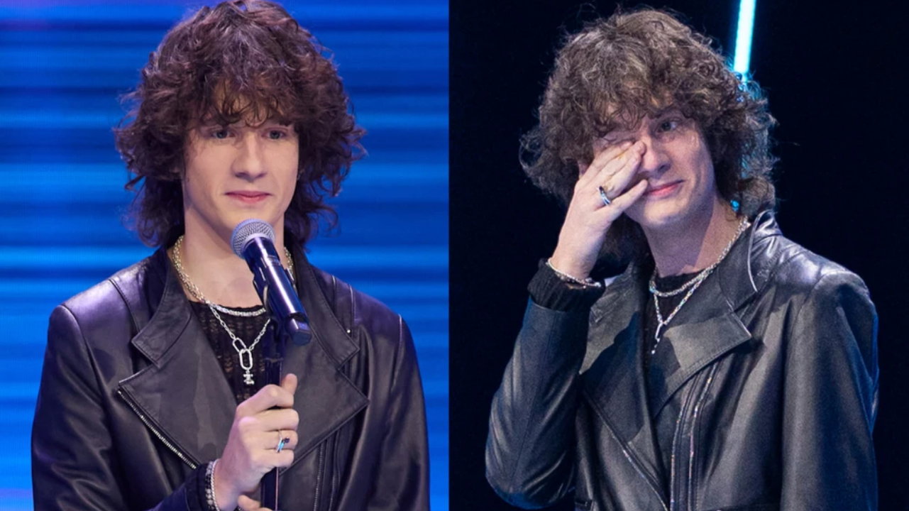 jamniki (2) - Damian Stampka-Łoziński