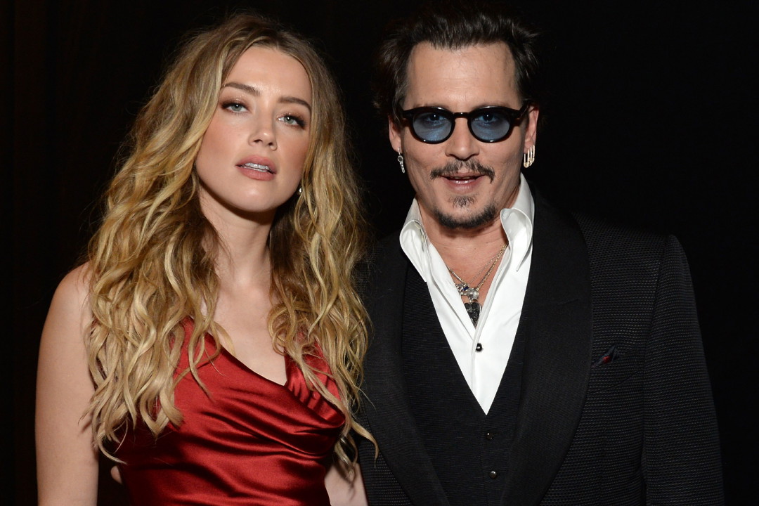 jamniki Amber Heard i Johnny Depp, 2016 r.