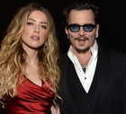 jamniki Amber Heard i Johnny Depp, 2016 r.