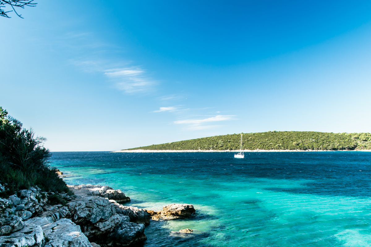 Sazan, Albania