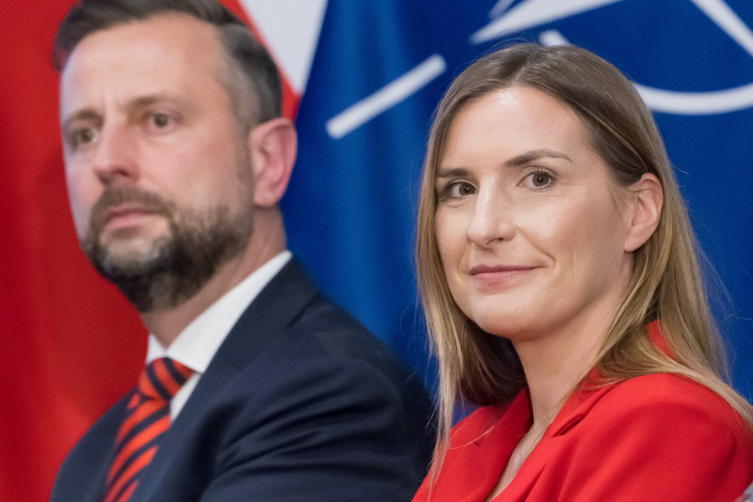 jamniki nowe (100)