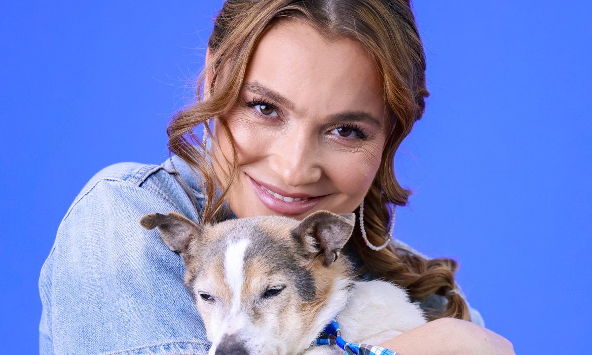 jamniki nowe - Marta Krupa