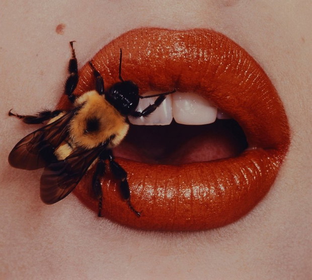 bee-new-york-1995-307187-GALLERYBIG-e830d13