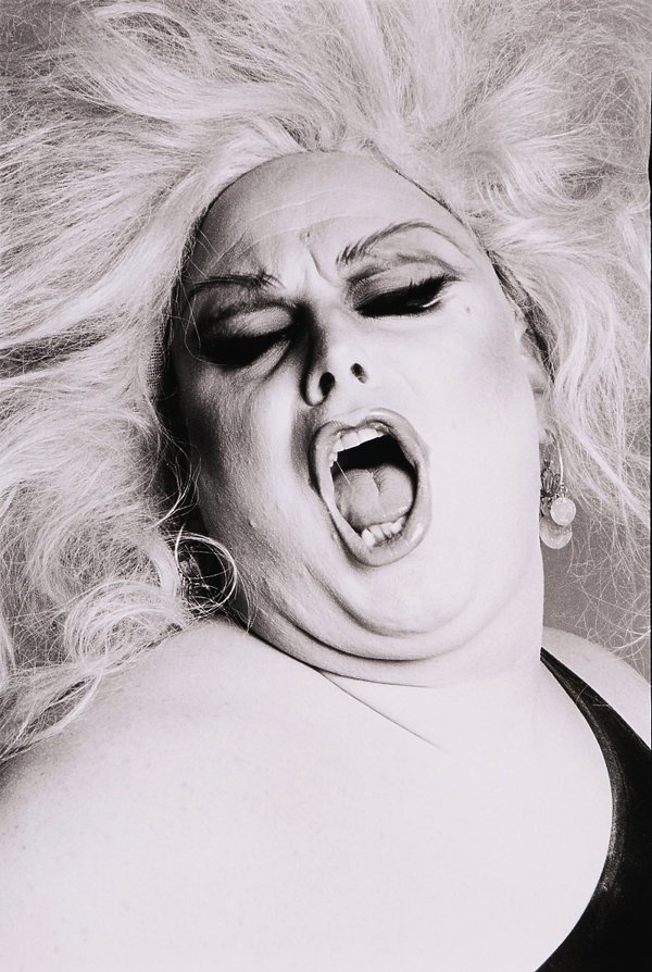 divine-315631-GALLERY600-52448fc