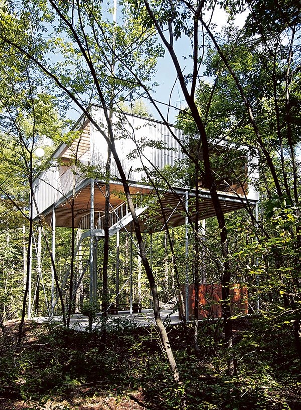 pilotis-in-a-forest-w-tsumagoi-315905-GALLERY600-972aa0e