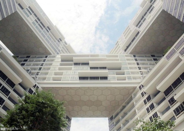 the-interlace-w-singapurze-320648-GALLERYBIG-6cf75b6