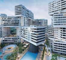 The_Interlace
