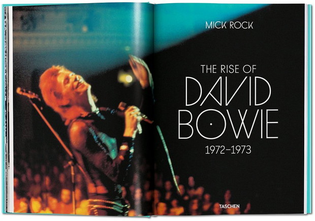 david-bowie-332754-GALLERYBIG-638ddb3