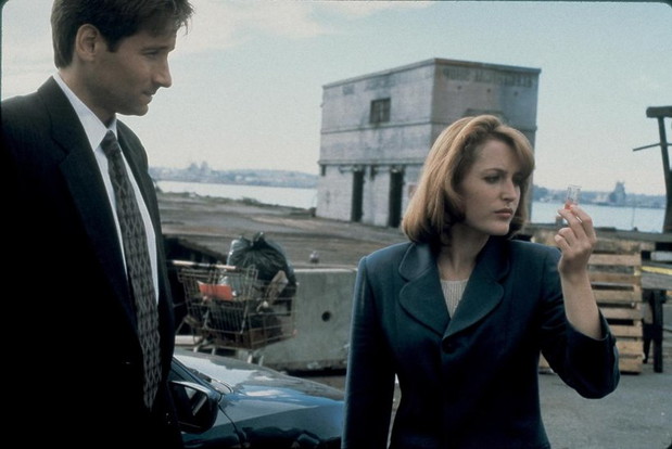 david-duchovny-i-gillian-anderson-333763-GALLERYBIG-b6ab186