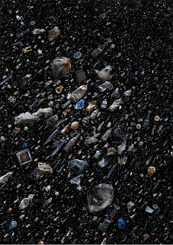 soup-350232-GALLERY600-21b43df