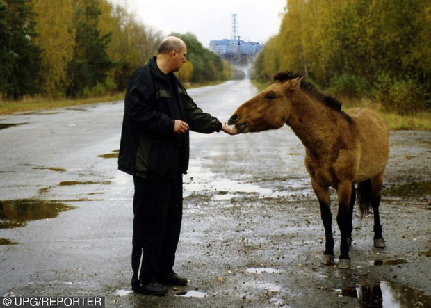 czarnobyl-351000-GALLERYBIG-df09e9a