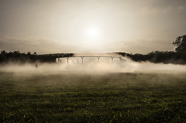 fog-assembly-359407-GALLERYBIG-a85895d