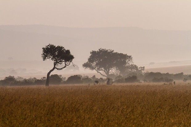 widok-z-rezerwatu-masai-mara-w-kenii-364188-GALLERYBIG-ad8367f