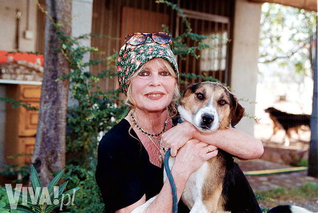 brigitte-bardot-365301-GALLERYBIG-d7f4f8e