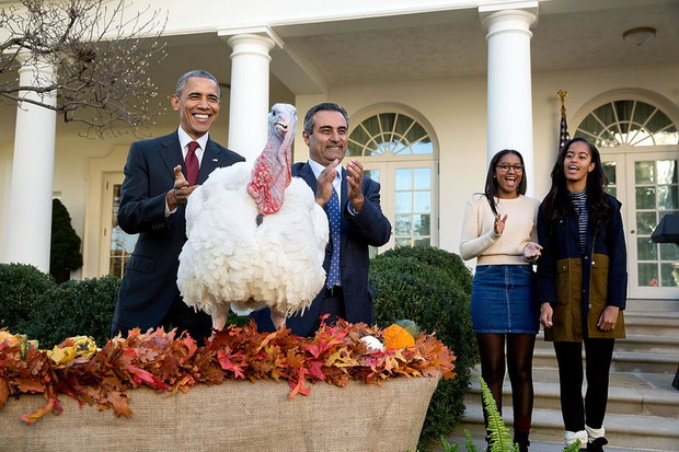 barack-obama-368931-GALLERYBIG-27bd47a