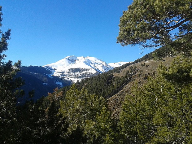 andora-373793-GALLERYBIG-215361f