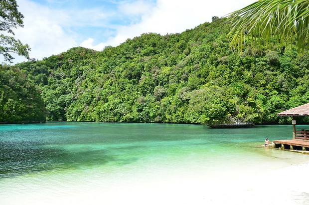 palau-373800-GALLERYBIG-5bc4487
