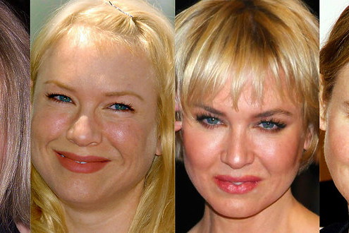 Renee Zellweger, Bridget Jones, metamorfoza Renee Zellweger