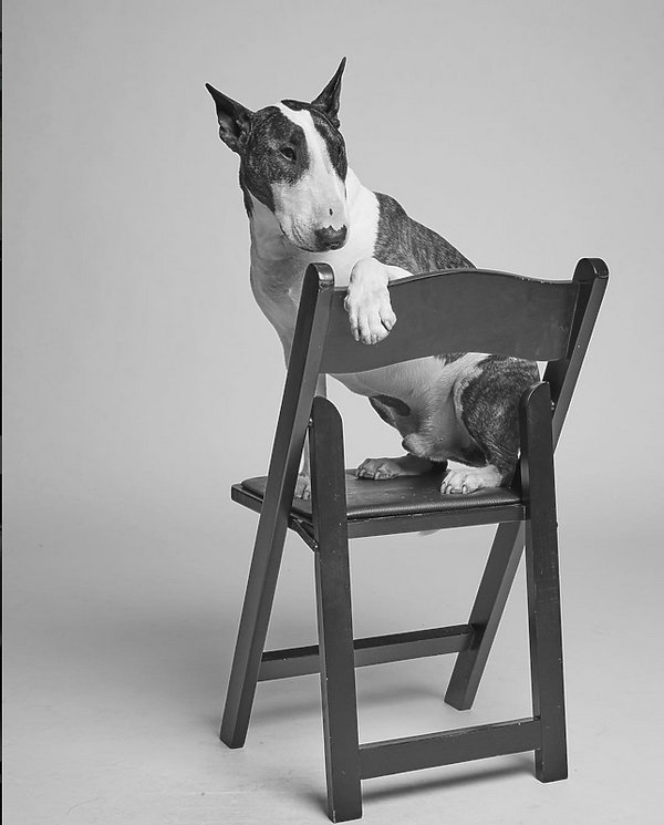 neville-jacobs-380654-GALLERY600-9511eca