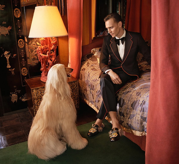 tom-hiddleston-w-najnowszej-kampanii-gucci-379994-GALLERYBIG-50376fe