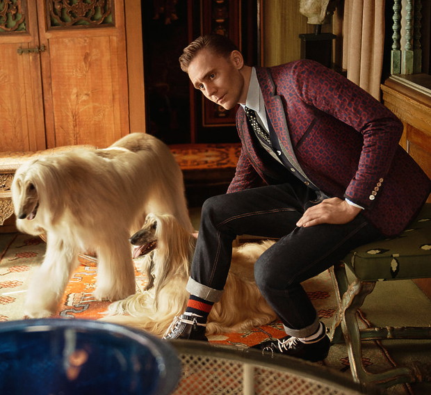 tom-hiddleston-w-najnowszej-kampanii-gucci-379996-GALLERYBIG-7a950ca