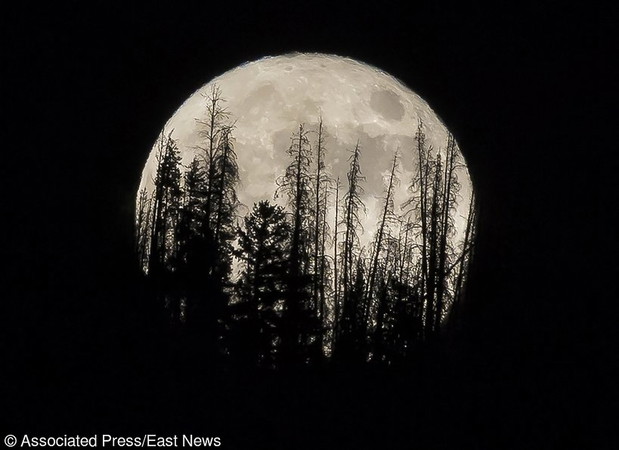 supermoon-2016-390846-GALLERYBIG-0d4d7f0