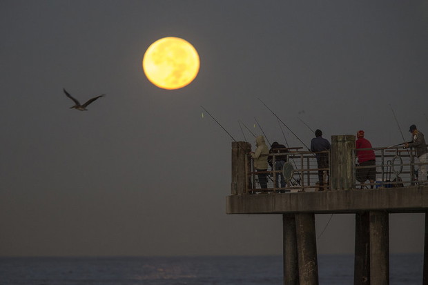 supermoon-2016-390849-GALLERYBIG-cce2f8b