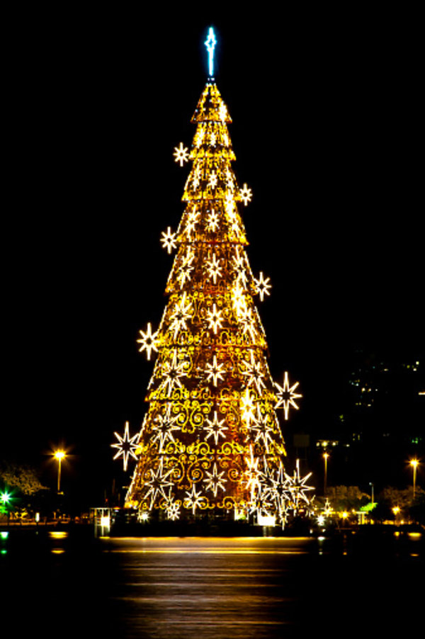 fotografia-397142-GALLERY600-20220cd