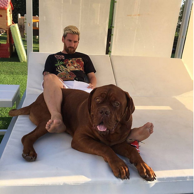 najpopularniejsze-posty-na-instagramie-397436-GALLERYBIG-065b581