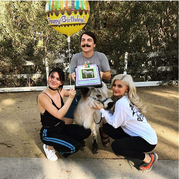 kirby-jenner-400419-GALLERY600-59f60fd