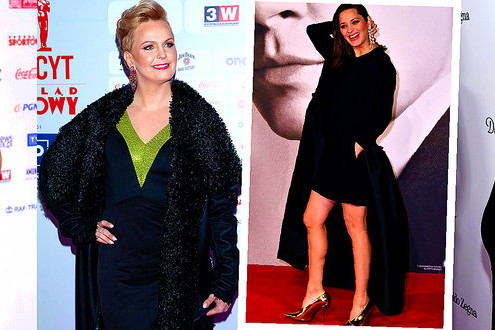 Anna Lewandowska, Otylia Jędrzejczak, Marion Cotillard, Natalie Portman, gwiazdy urodzą w 2017