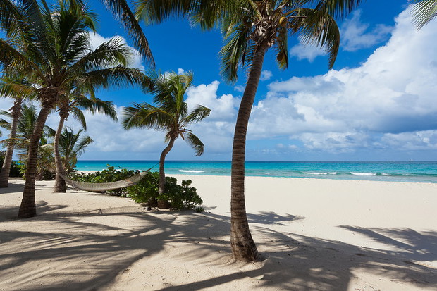 anguilla-404298-GALLERYBIG-f071273