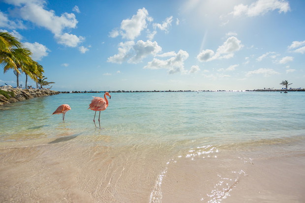 aruba-404300-GALLERYBIG-5a1cfed