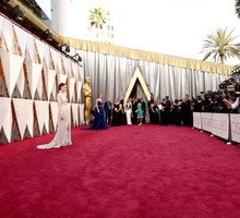 Oscary 2017, jamnik