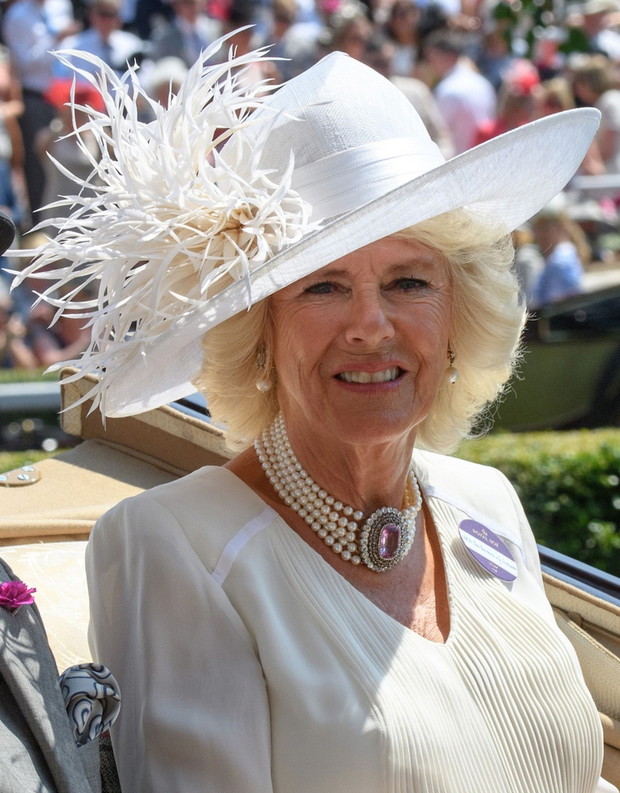 Ascot 2017