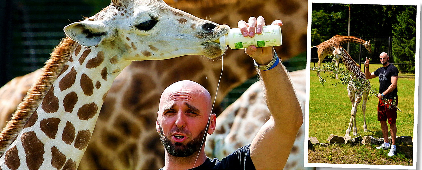 Marcin Gortat, żyrafek Gortat, żyrafa Gortata nie żyje, Zoo w Warszawie