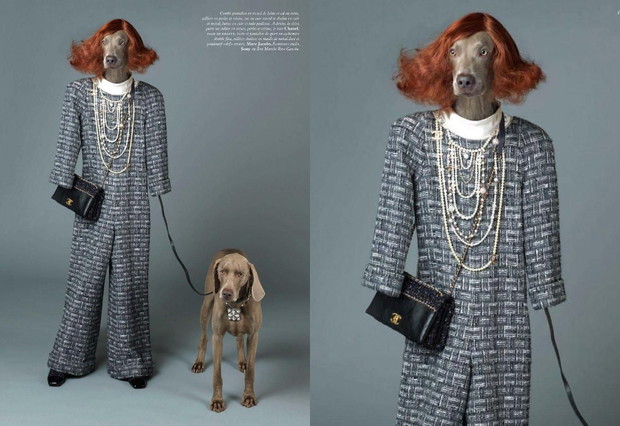 imgbYSZmf-02380e1