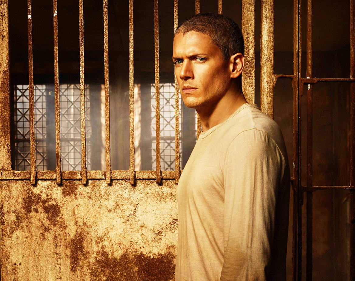 Wentworth Miller, PRISON BREAK: SEQUEL, 28