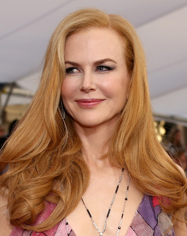 The 22nd Annual Screen Actors Guild Awards - Red Carpet